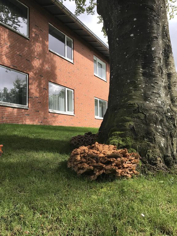 Hotel Jernbanegade Kibæk Екстериор снимка